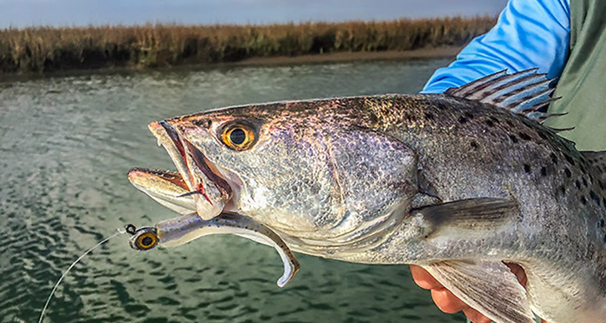 Best Saltwater Fishing Lures Of All Time
